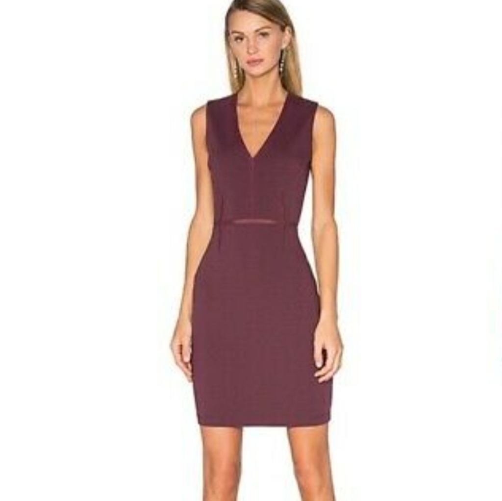 Bailey 44 Maroon Mesh Dress